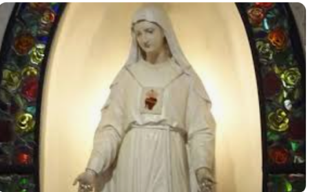 DIA 8 - NOSSA SENHORA DE PELLEVOISIN