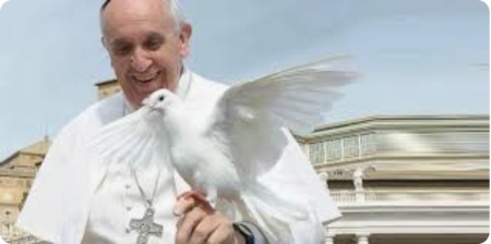 GRANDES LINHAS DE AÇÃO