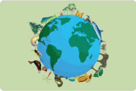 3. PERDA DE BIODIVERSIDADE