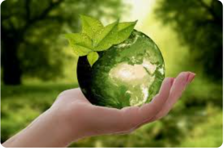 3. ECOLOGIA DA VIDA QUOTIDIANA