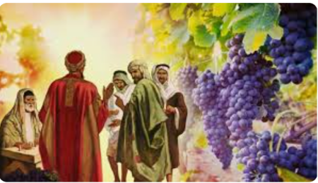 CAPÍTULO IV  OS TRABALHADORES DA VINHA DO SENHOR