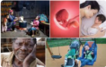 4. DETERIORAÇÃO DA QUALIDADE DE VIDA HUMANA E DEGRADAÇÃO SOCIAL