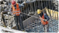 IV. DIREITOS DOS HOMENS DO TRABALHO