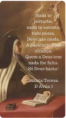 CAPÍTULO 14. COMEÇA A DECLARAR O SEGUNDO GRAU DE ORAÇÃO QUE É O SENHOR JÁ FAZER SENTIR À ALMA GOSTOS MAIS PARTICULARES. DECLARA-O PARA FAZER VER COMO JÁ SÃO SOBRENATURAIS. É MUITO PARA SE TER EM CONTA. 